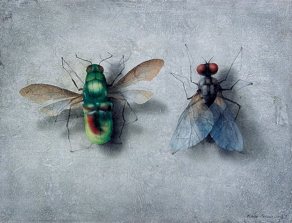 Сюрреализм насекомые