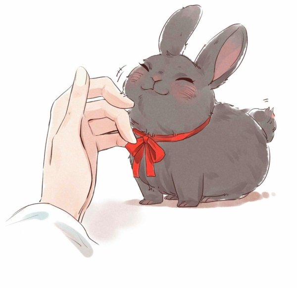 Аниме Магистр дьявольского культа кролики