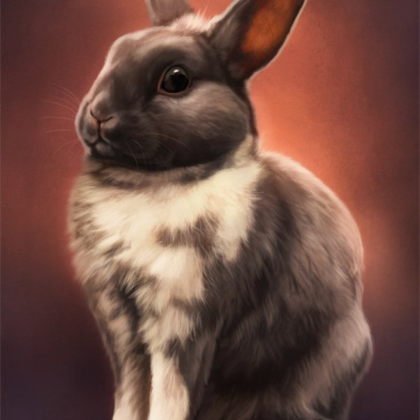 Кролики арты