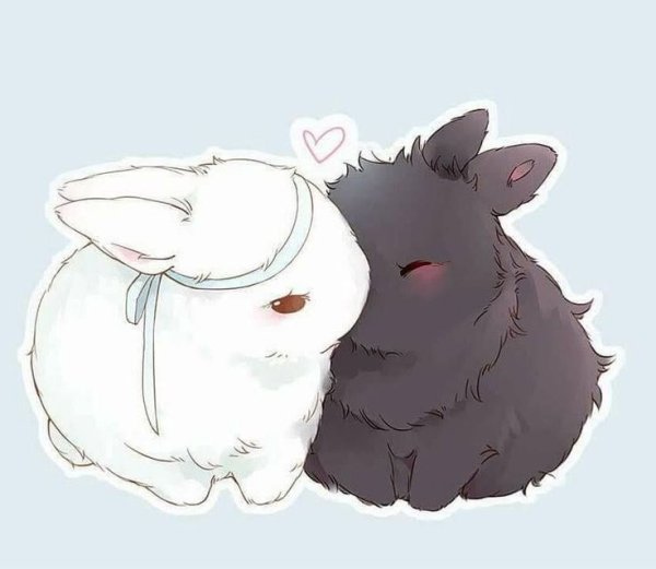 Магистр дьявольского культа кролики