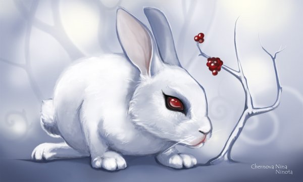 Кролики арты