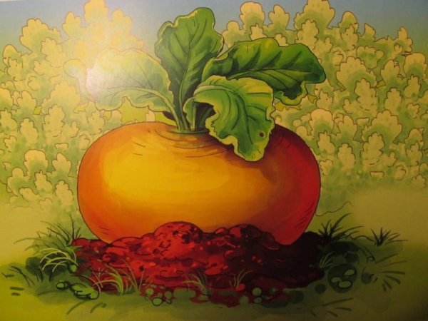 Репка иллюстрации