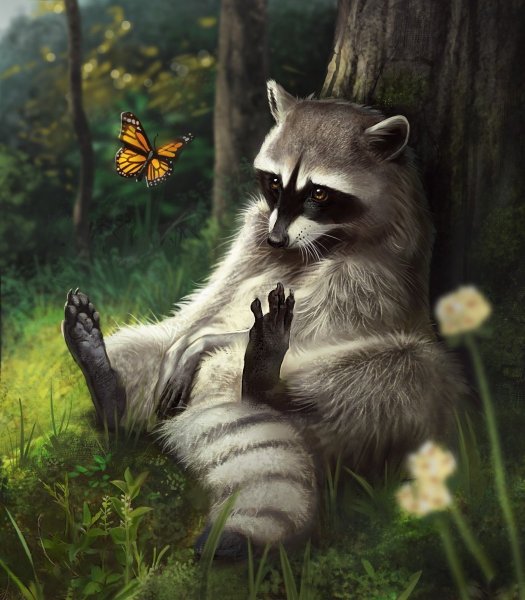 Енот полоскун аниме