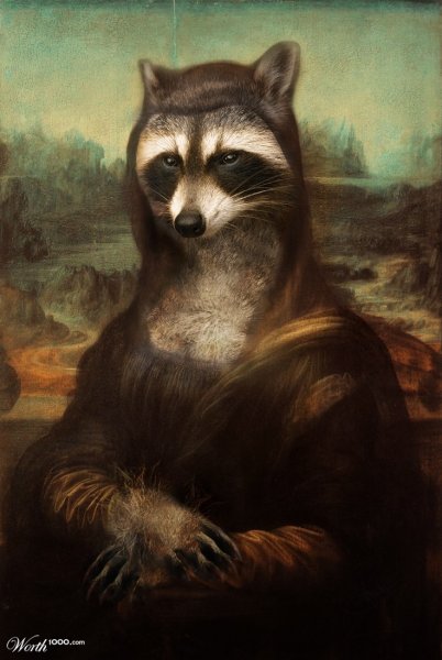 Енот Мона Лиза