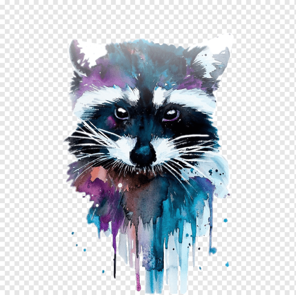 Racoon арт