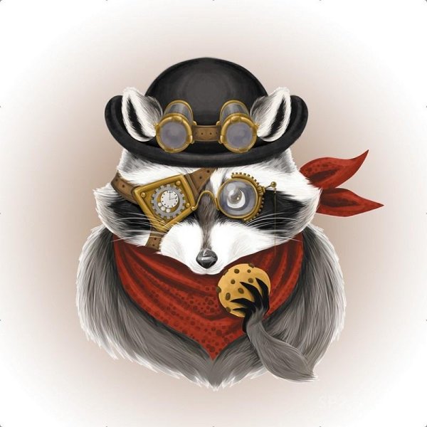 Енот голова арт