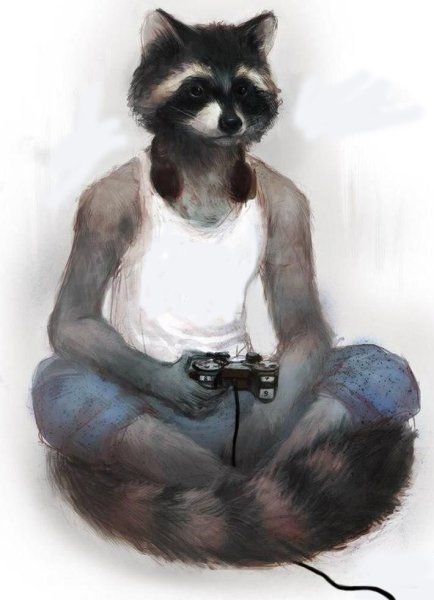 Человек енот