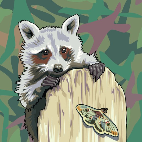 Енот полоскун аниме