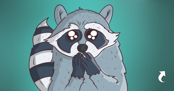 Енот рисунок