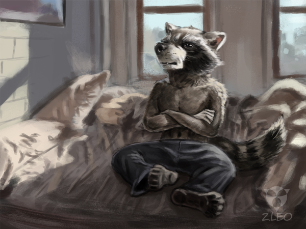 Енот полоскун аниме