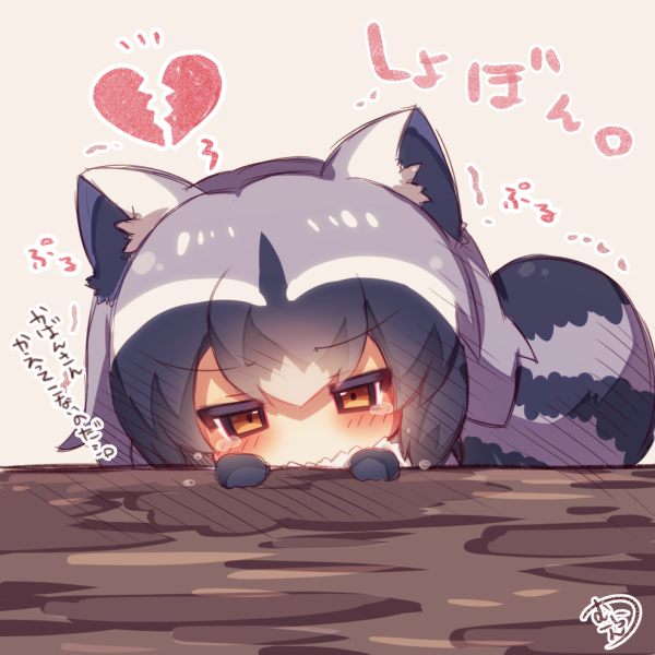 Kemono friends Ракун