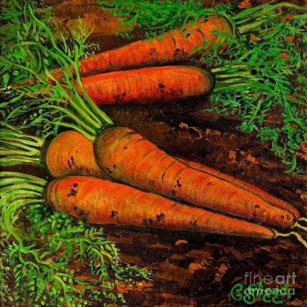 Морковка картина