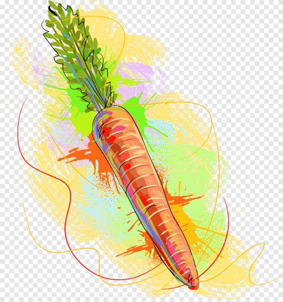 Морковь иллюстрация