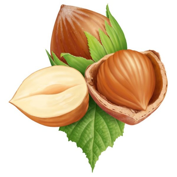 Орех мультяшный