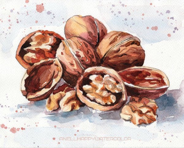 Лесной орех акварель