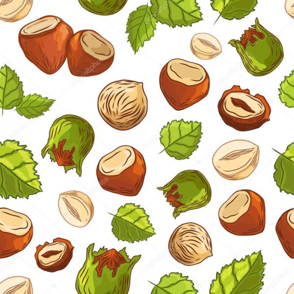 Лесной орех вектор