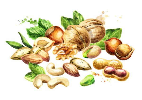 Сухофрукты акварель