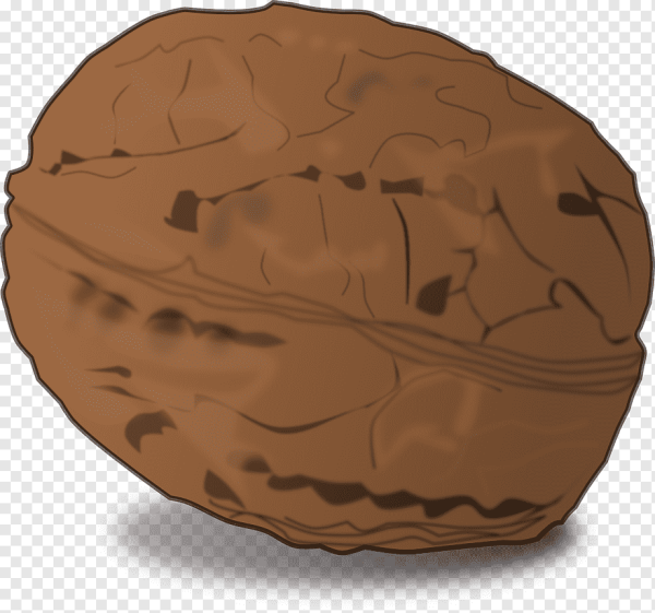 Нарисовать орех