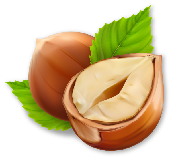 Пиктограмма орехи