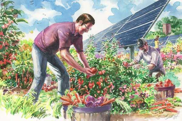 Картина сад и огород