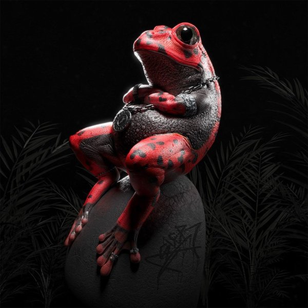 Лягушка фэнтези