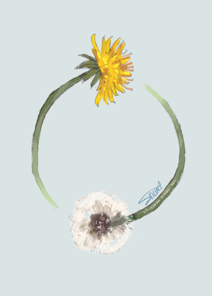 Одуванчики арты