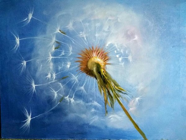 Живопись Ларисса Гамильтон , одуванчики