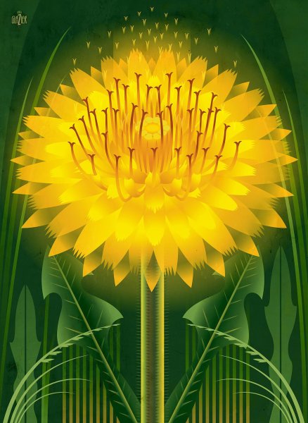 Одуванчики абстракция