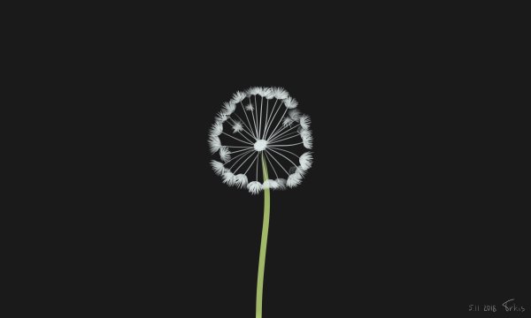 Одуванчик Минимализм