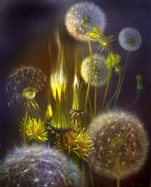 Живопись Ларисса Гамильтон , одуванчики