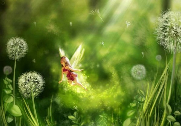 Волшебный лес цветы