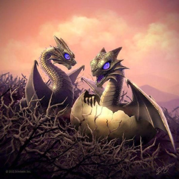 Маленький дракончик