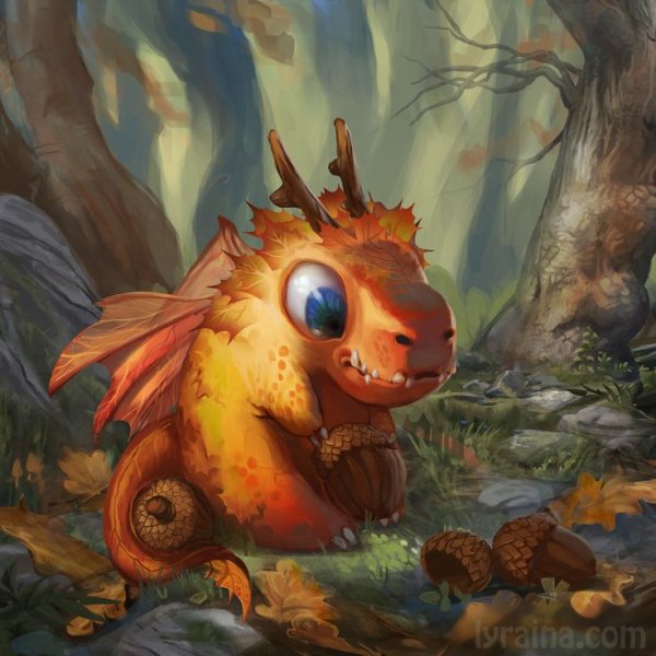 Маленький дракон