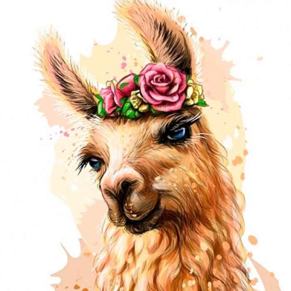 Лама с цветами акварель