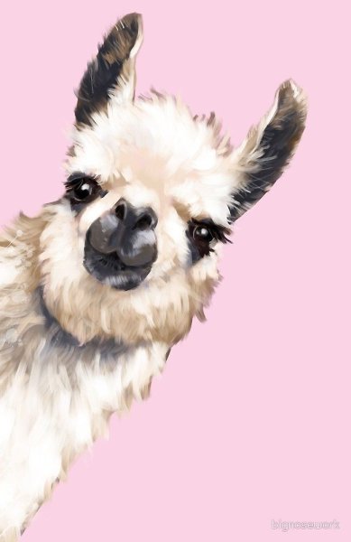 Альпака акварелью