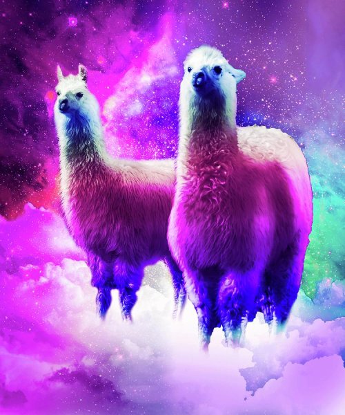 Лама арт