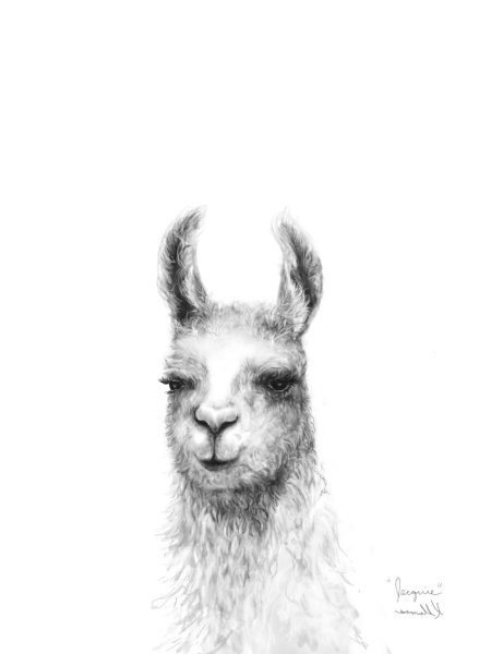 Лама эскиз