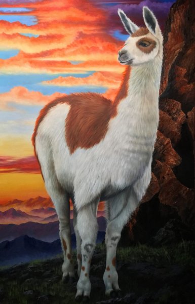 Картины альпаки