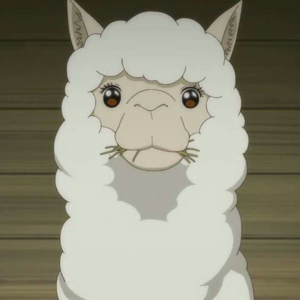 Альпака аниме