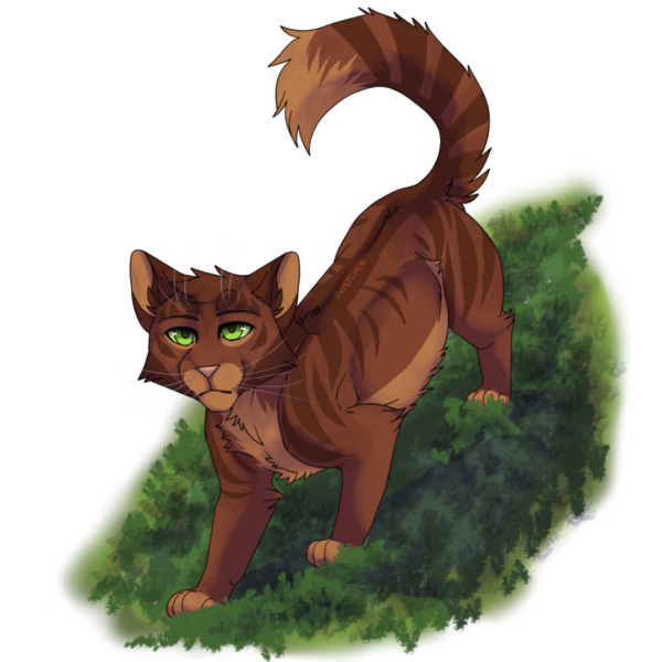 Коты Воители Желудь