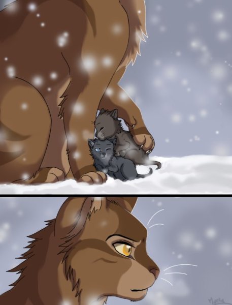 Коты Воители Дроздовик смерть