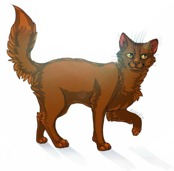 Желудь из котов воителей