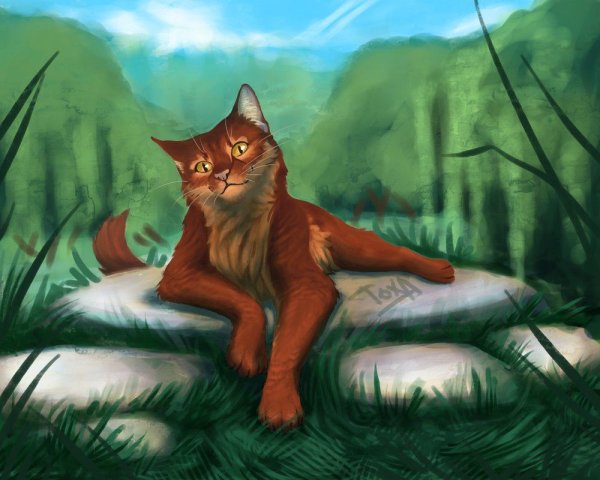 Коты Воители рябинник