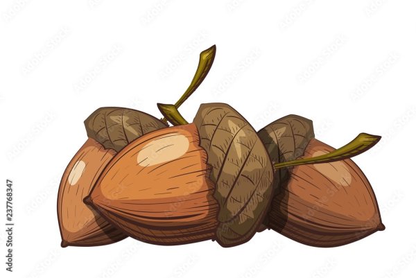 Желудь мультяшный