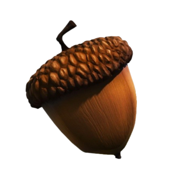 Желудь из ледникового периода