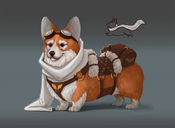 Вельш корги мультфильм