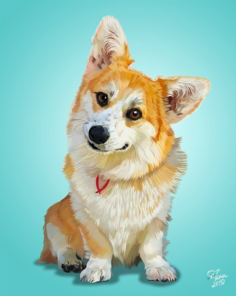 Корги курама