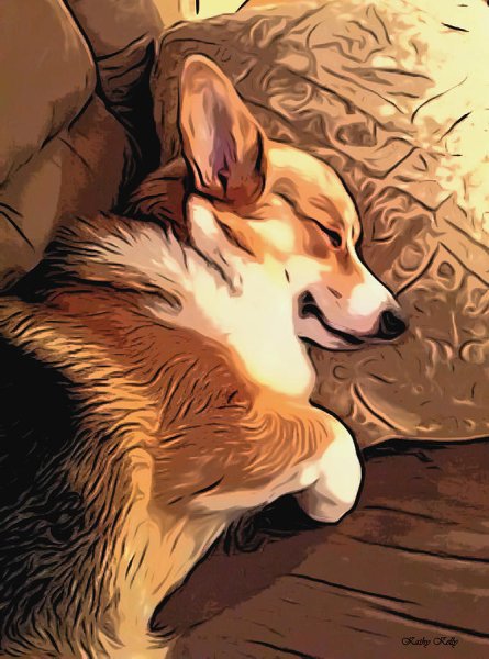 Корги аватар