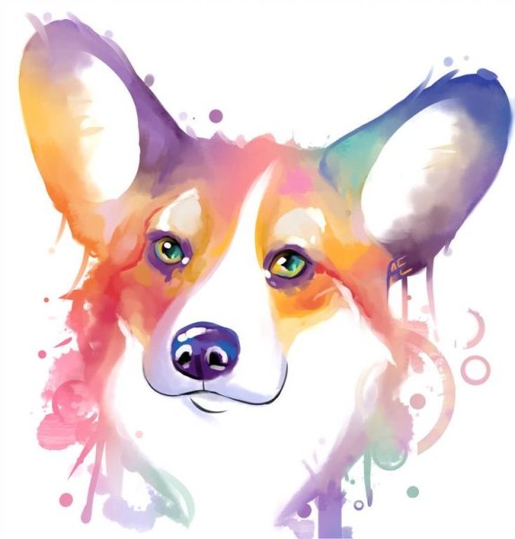 Ахегао корги