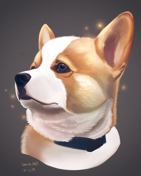 Гнолл корги